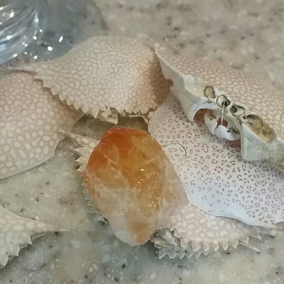 Metabolism-citrine 2 pcs (small) - Picture 3 of 5